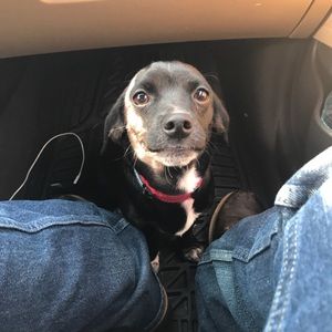 Meet your Posher, Taylor